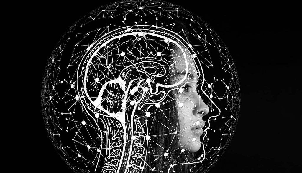 cuidar.cerebro.noom_