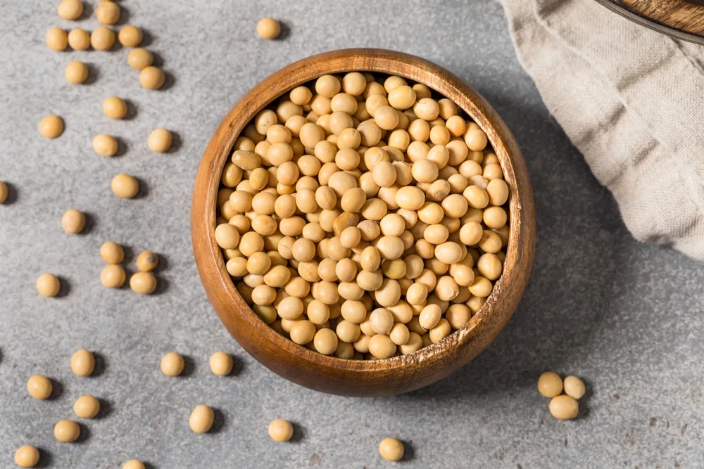 soybeans in a bowl